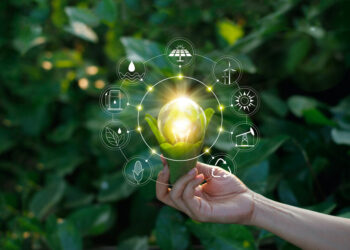 COP30 em Belém: Rumo a um Futuro Sustentável – Preparativos e Expectativas